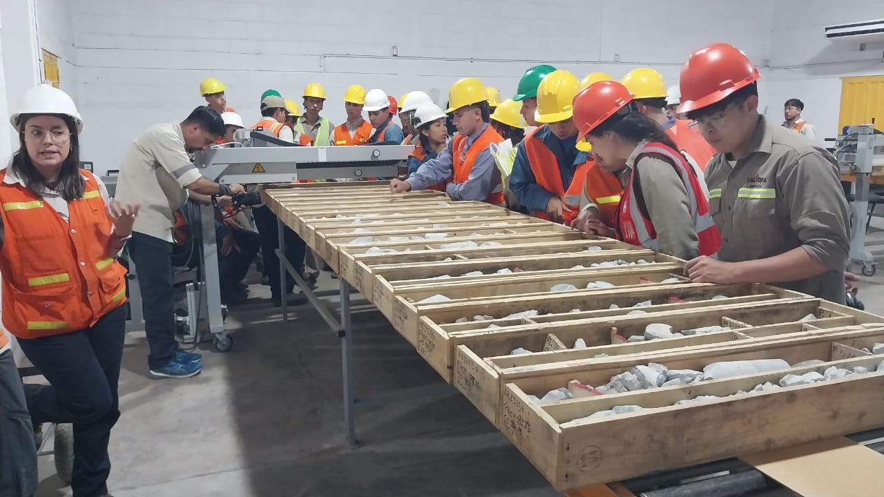 Practicas profesionalizantes