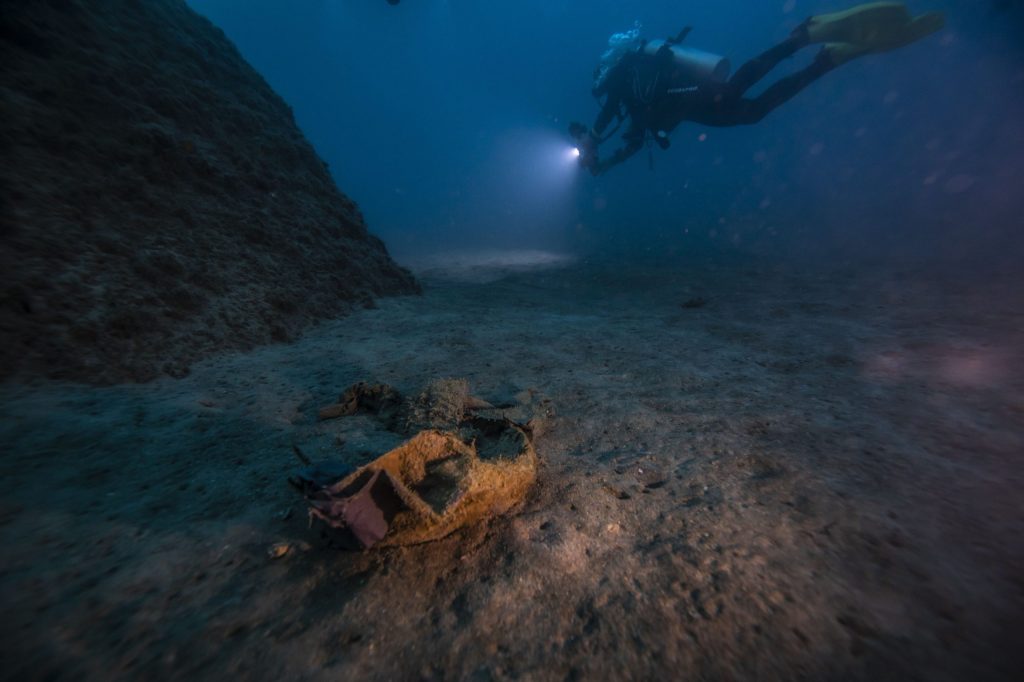 La zona Clarion Clipperton posee una biodiversidad invaluable. Actualmente allí albergan más de 5000 especies, aún sin identificar
