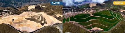El objetivo final es reforestar la zona.Vista antes y después