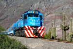 acero y roca.trenes