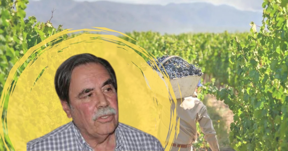 Juan José Ramos, presidente de la Asociación de Viñateros Independientes