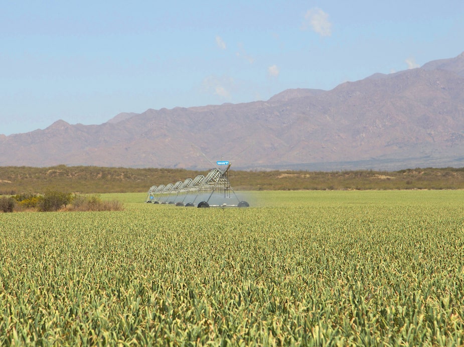 Acero y Roca | Magazine Minero - “El agua no espera más”: productores sanjuaninos exigen acción urgente al Gobierno