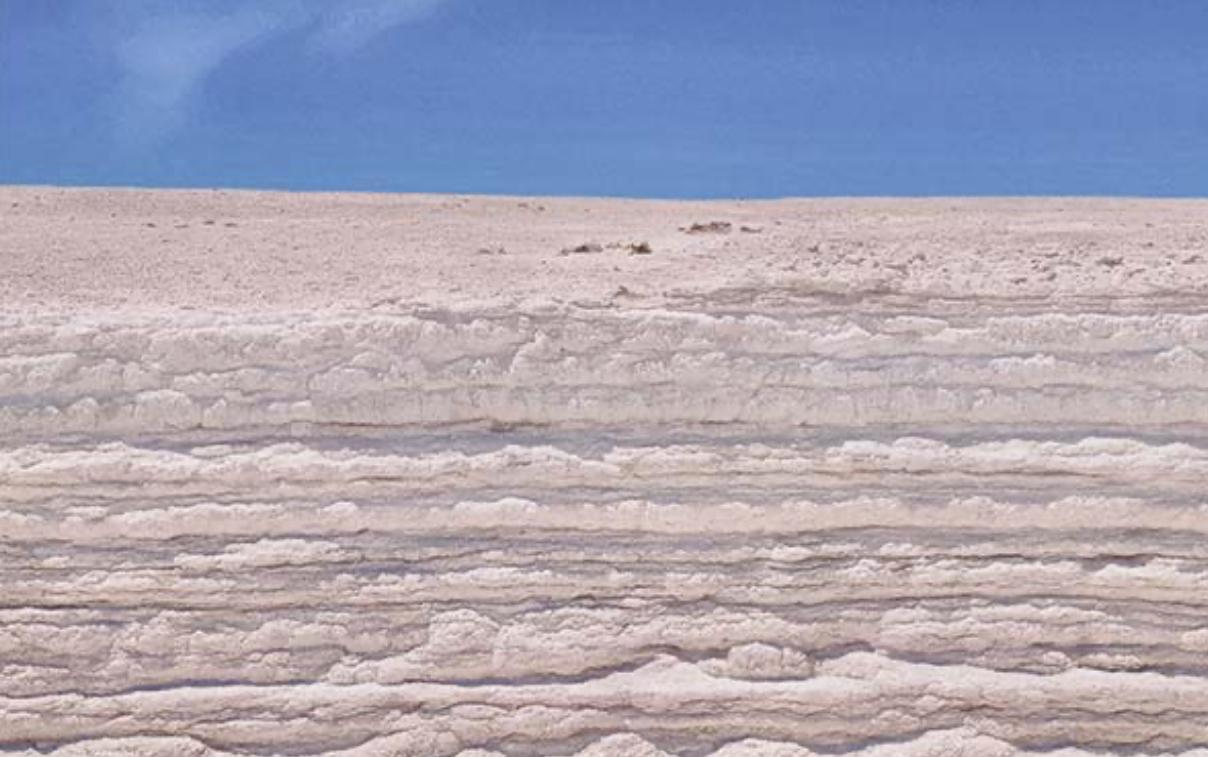 Costras de arcilla ricas en litio en el Salar de Llamara ,Polígono de Quillagua Este