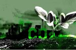 aceroyroca_123