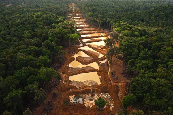Hay puntos de la Amazonía peruana donde una draga minera puede extraer hasta 7 kilos de oro al año usando mercurio.
