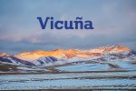 aceroyroca_2323