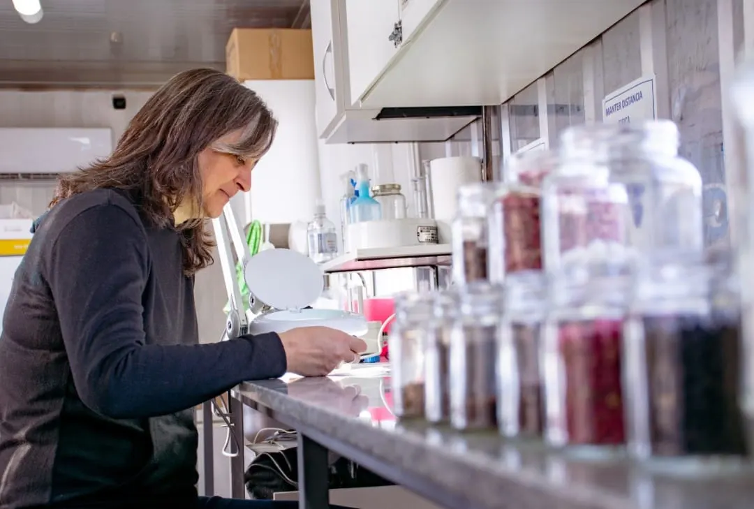  Investigadora analizando semillas en una placa de Petri dentro de un laboratorio científico bien iluminado.