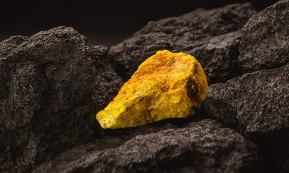 Fragmento de roca de color oscuro con incrustaciones y vetas de mineral de uranio de tonalidad amarillenta.