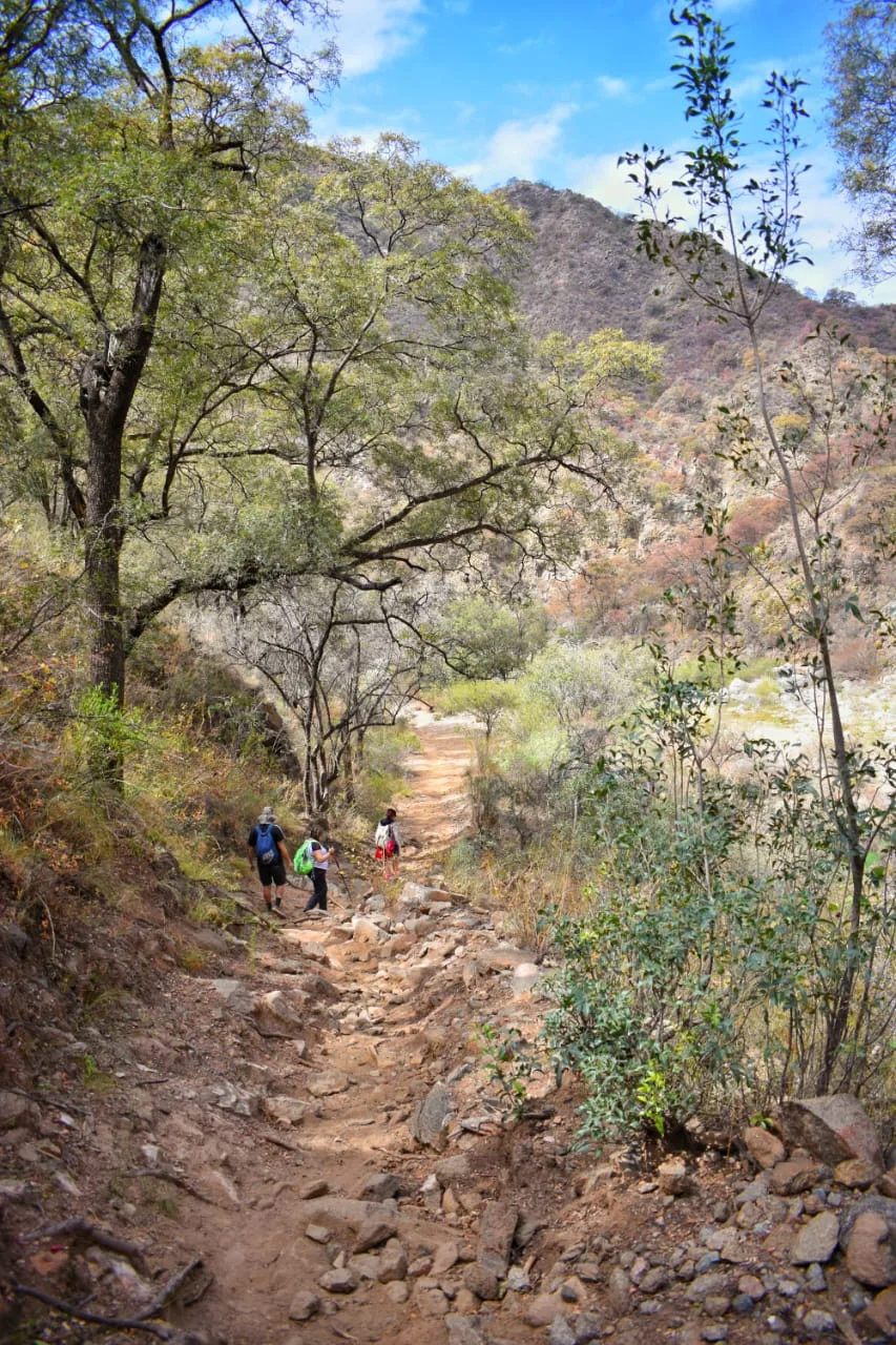  Personas caminando por un sendero en un entorno natural, representando el senderismo.