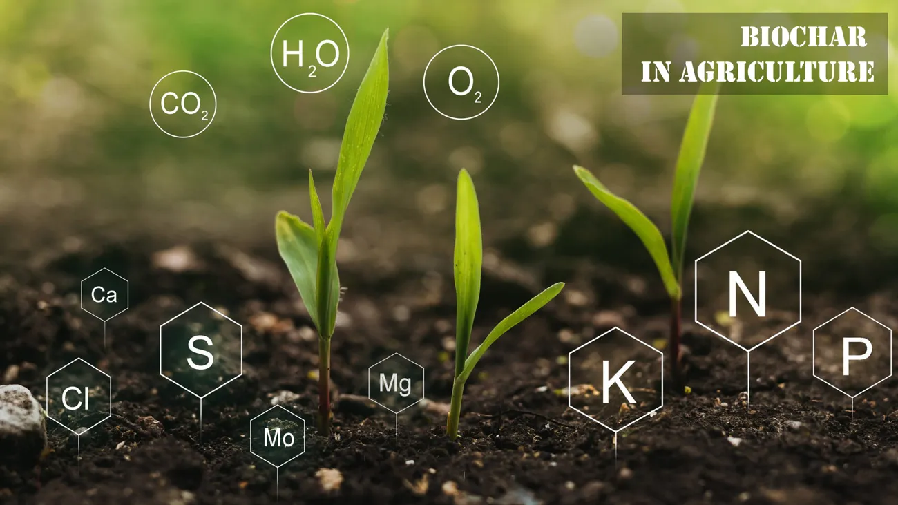 Gráfico que ilustra el ciclo de la economía circular: residuos mineros y biomasa, biochar, optimización de agua y alimentos nutritivos.