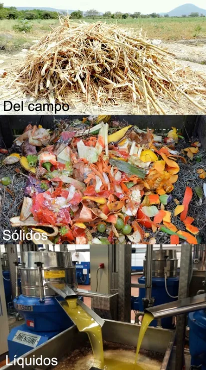 Representación de residuos agroindustriales y biomasa, como base para la investigación de Fabani sobre biochar.