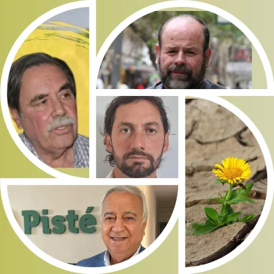 MixCollage-15-Oct-2025-09-35-PM-3181