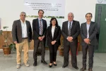 autoridades y visitas web