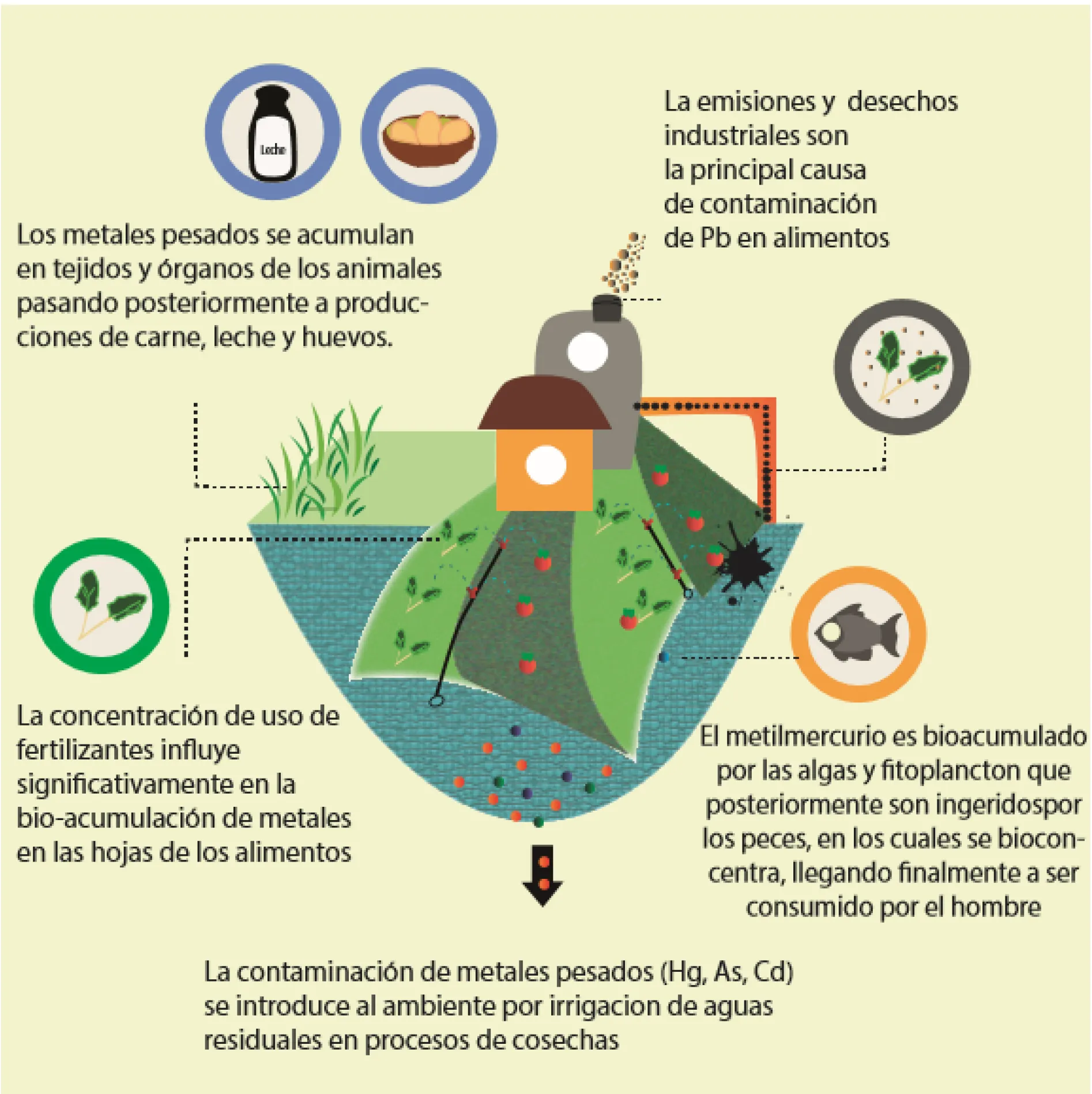  Infografía visualizando la contaminación del agua por metales pesados, con elementos químicos y efectos en el ecosistema acuático.