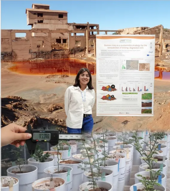 Doctora Tatiana Heredia investigando fitorremediación residuos mineros con plantas nativas.
