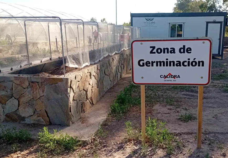 Acero y Roca | Magazine Minero - San Juan: Vivero Calidra producirá 18.000 plantas nativas para reforestar la provincia