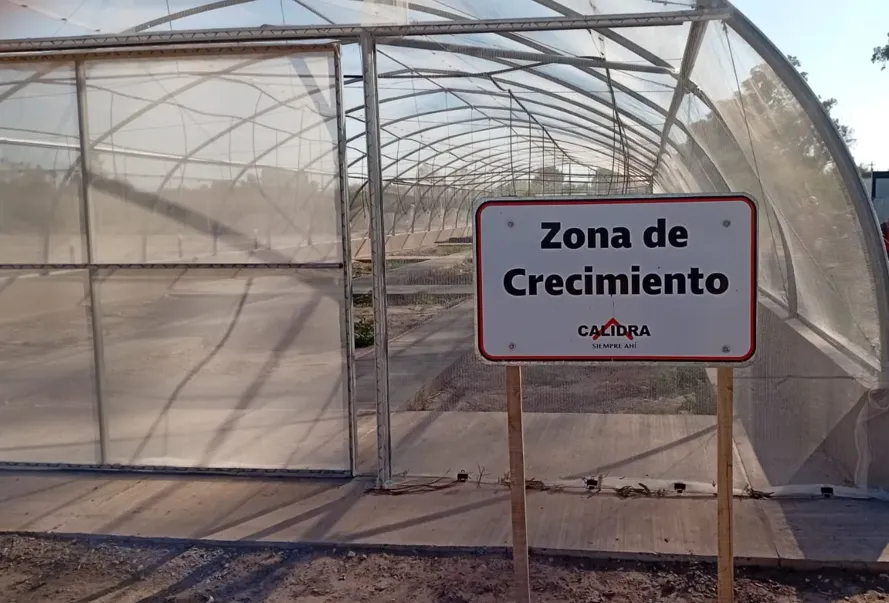 Acero y Roca | Magazine Minero - San Juan: Vivero Calidra producirá 18.000 plantas nativas para reforestar la provincia
