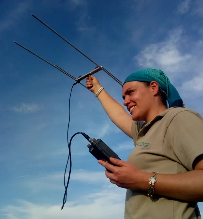 Monitoreo ambiental minería moderna: Equipo de telemetría para rastrear animales y evaluar el impacto ambiental de la minería