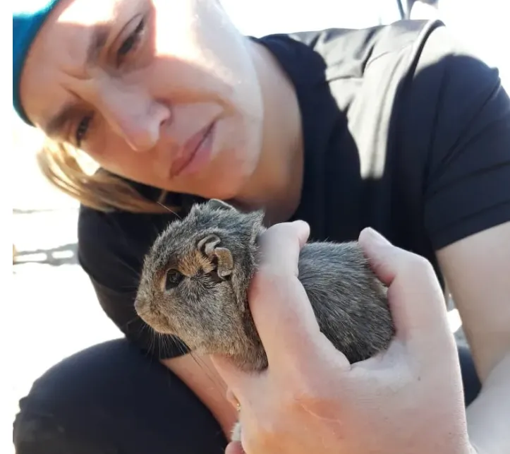 Retrato de Silvina Adarvez Giovanini, bióloga especialista en biodiversidad y minería, sosteniendo un roedor del campo para revisarlo