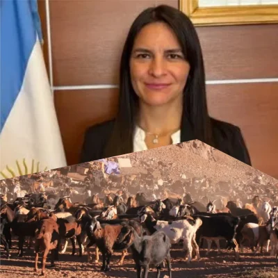 MixCollage-26-Nov-2025-11-27-PM-4793