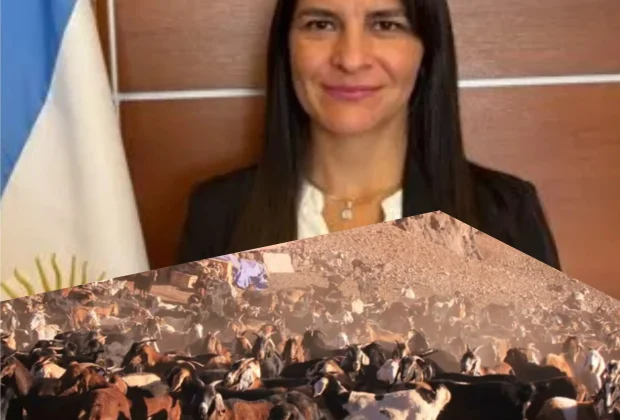 MixCollage-26-Nov-2025-11-27-PM-4793