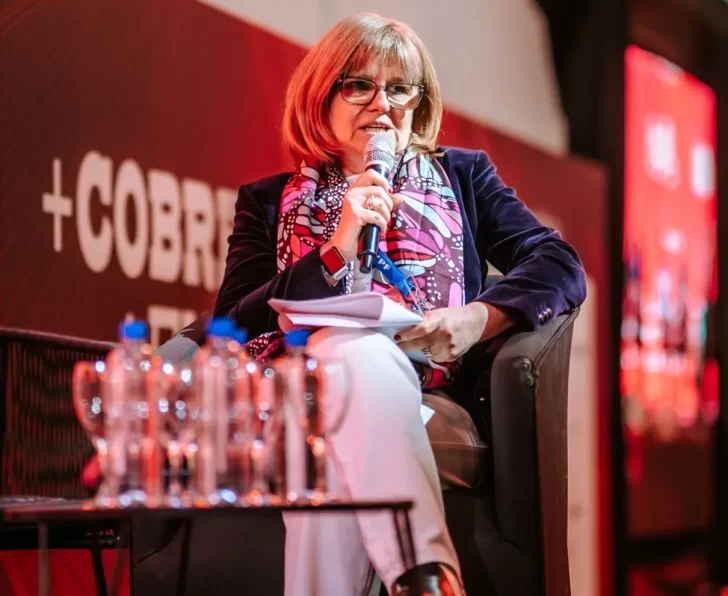 Norma Ramiro (Vicuña) exige una Ley de Proveedores Locales de primer nivel en San Juan.