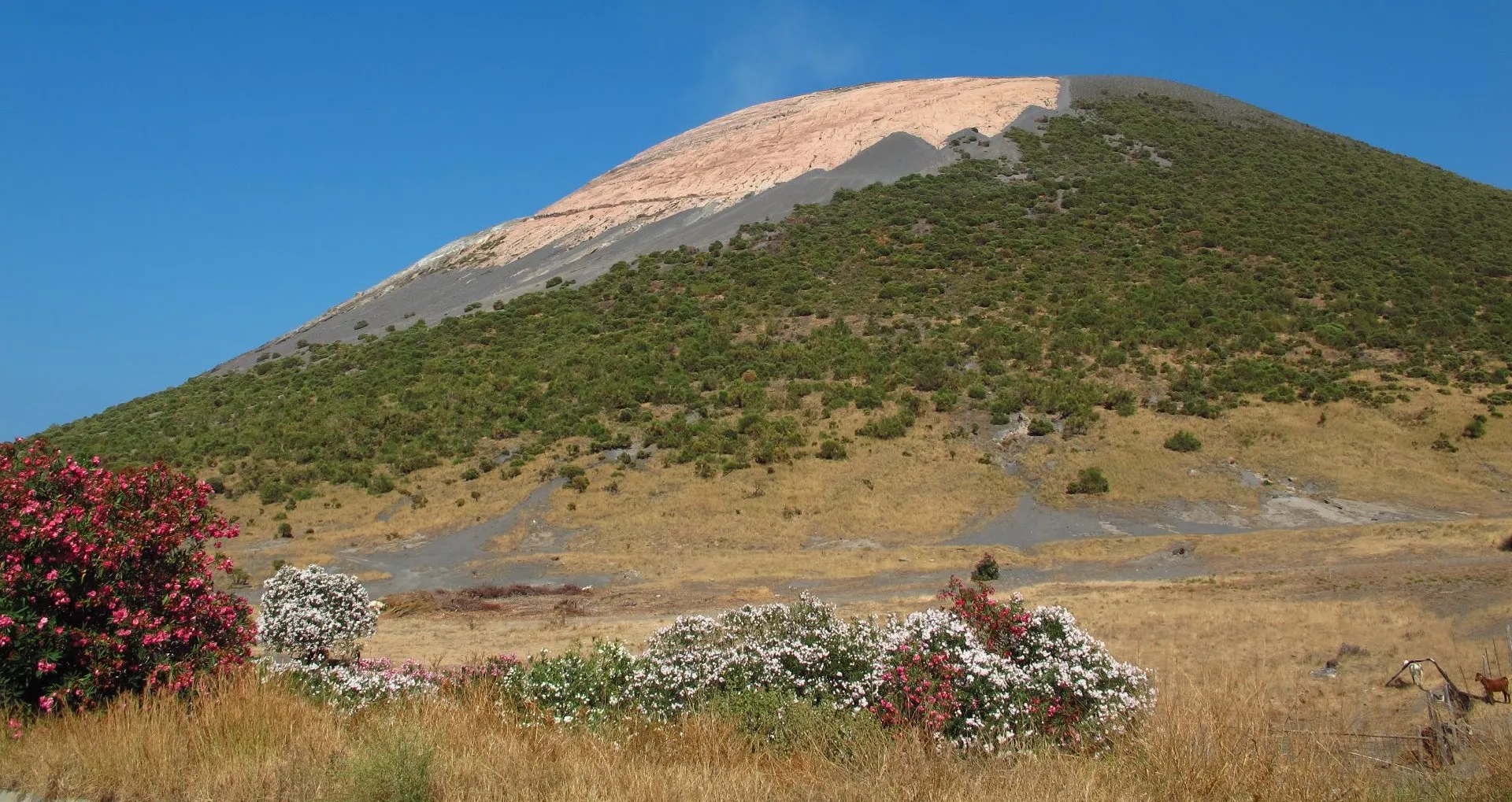  Vista aérea de un complejo volcánico andino, destacando la importancia de la volcanología para la exploración minera.