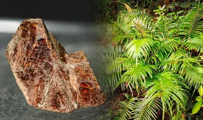 69272993a55105f50f0ceff1