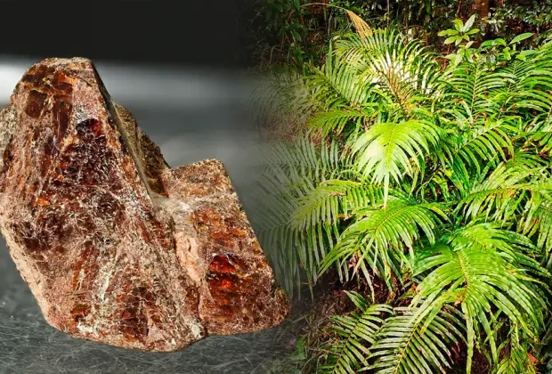 69272993a55105f50f0ceff1