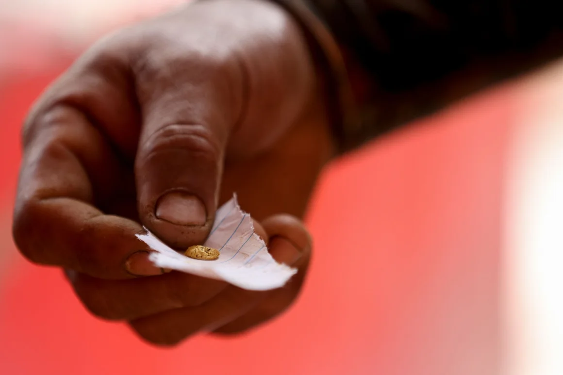 Oro extraído de la mineria ilegal en El Dorado