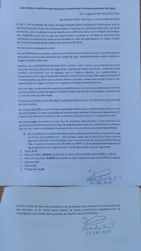 Acero y Roca | Magazine Minero - Jáchal: Pruebas de mercurio tras muerte de peces; Denuncian un nuevo derrame oculto