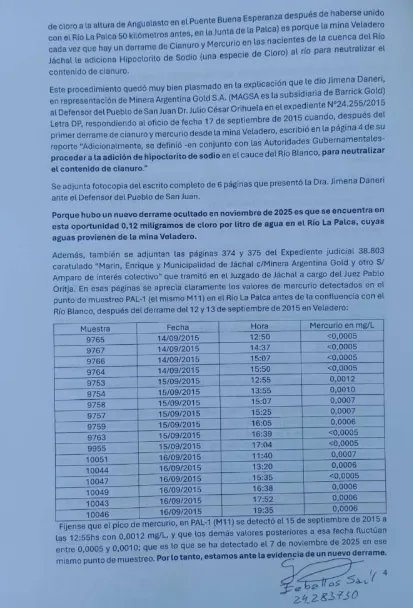 Acero y Roca | Magazine Minero - Jáchal: Pruebas de mercurio tras muerte de peces; Denuncian un nuevo derrame oculto
