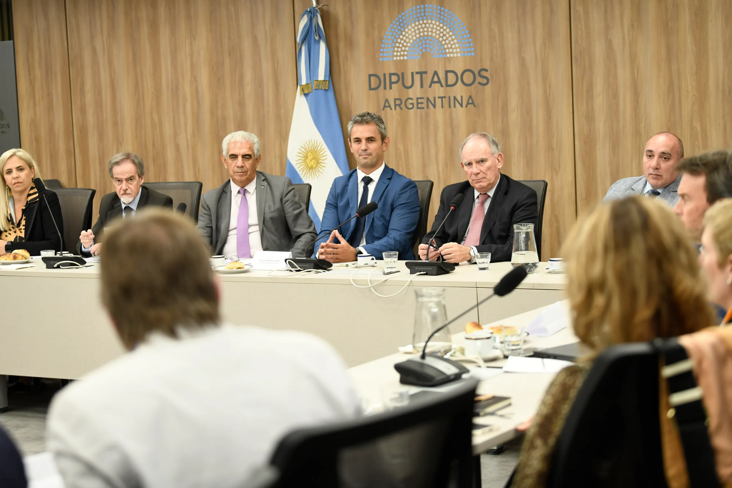 Luis Lucero, Secretario de Minería, en la Comisión de Minería de la Nación.