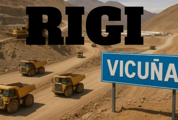 VICUÑA RIGI