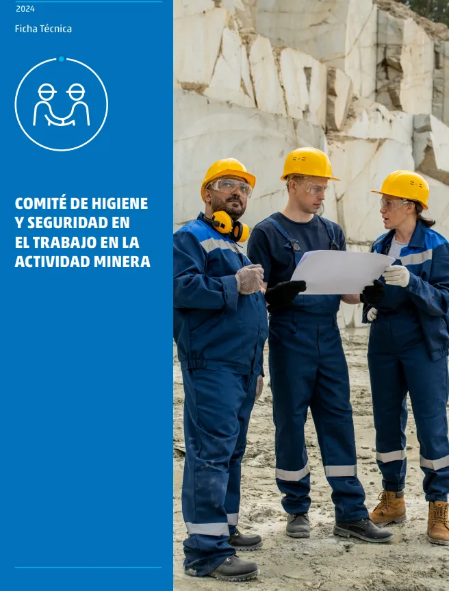 Captura de pantalla de la Ficha Técnica del Comité de Higiene y Seguridad en el Trabajo Minero.