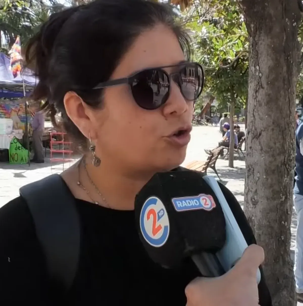 Silvana Llanes, abogada de las comunidades.