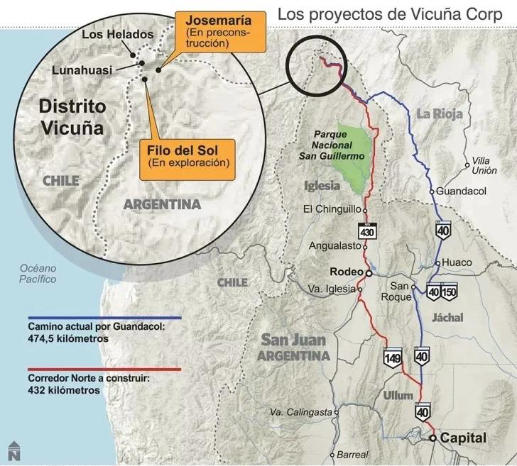 dESARROLLO DEL PROYECTO vicuña