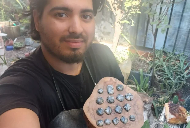 48c054e3-4285-478e-b8e6-1e33a73a5aea