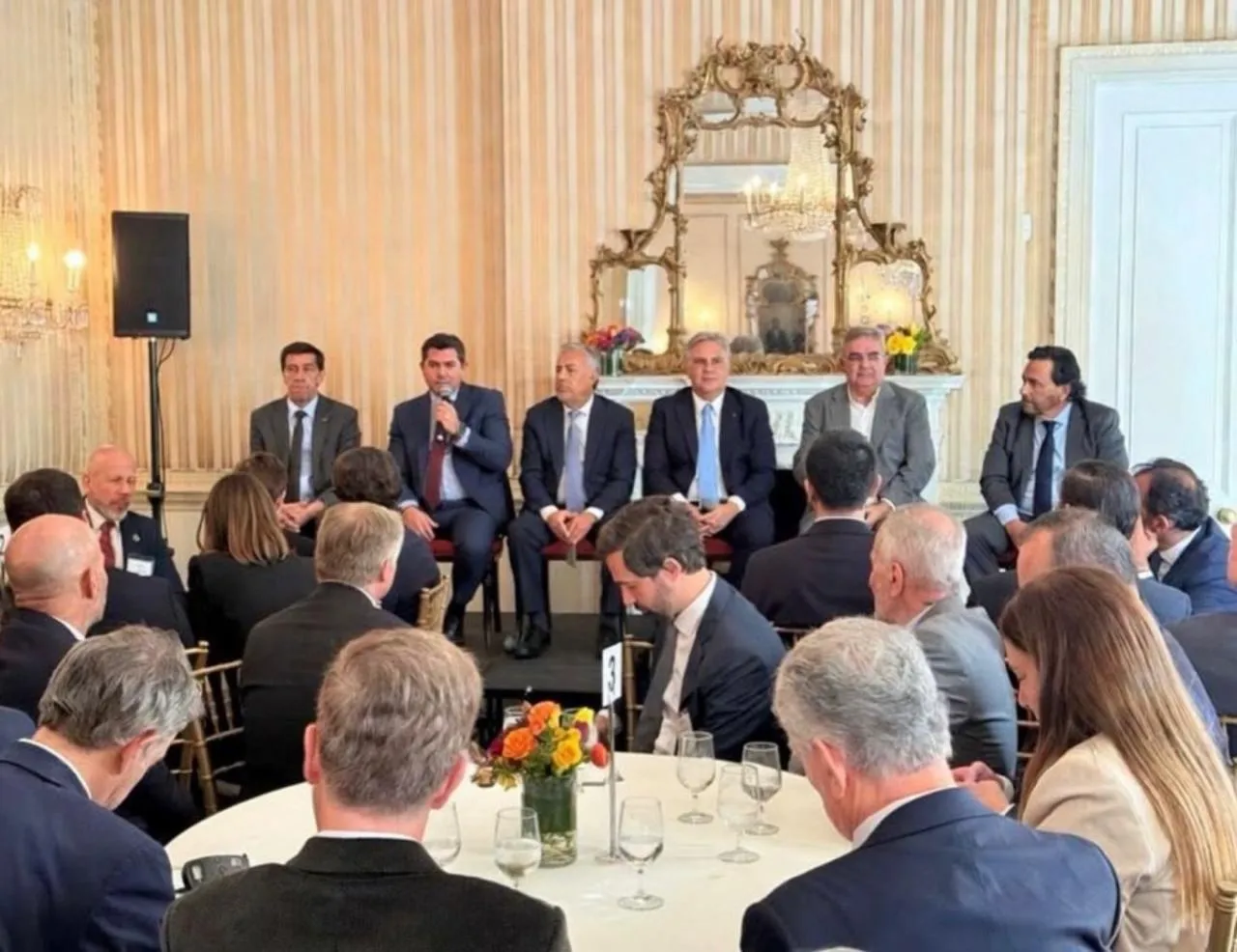 MANDATARIOS PROVINCIALES CON MILEI