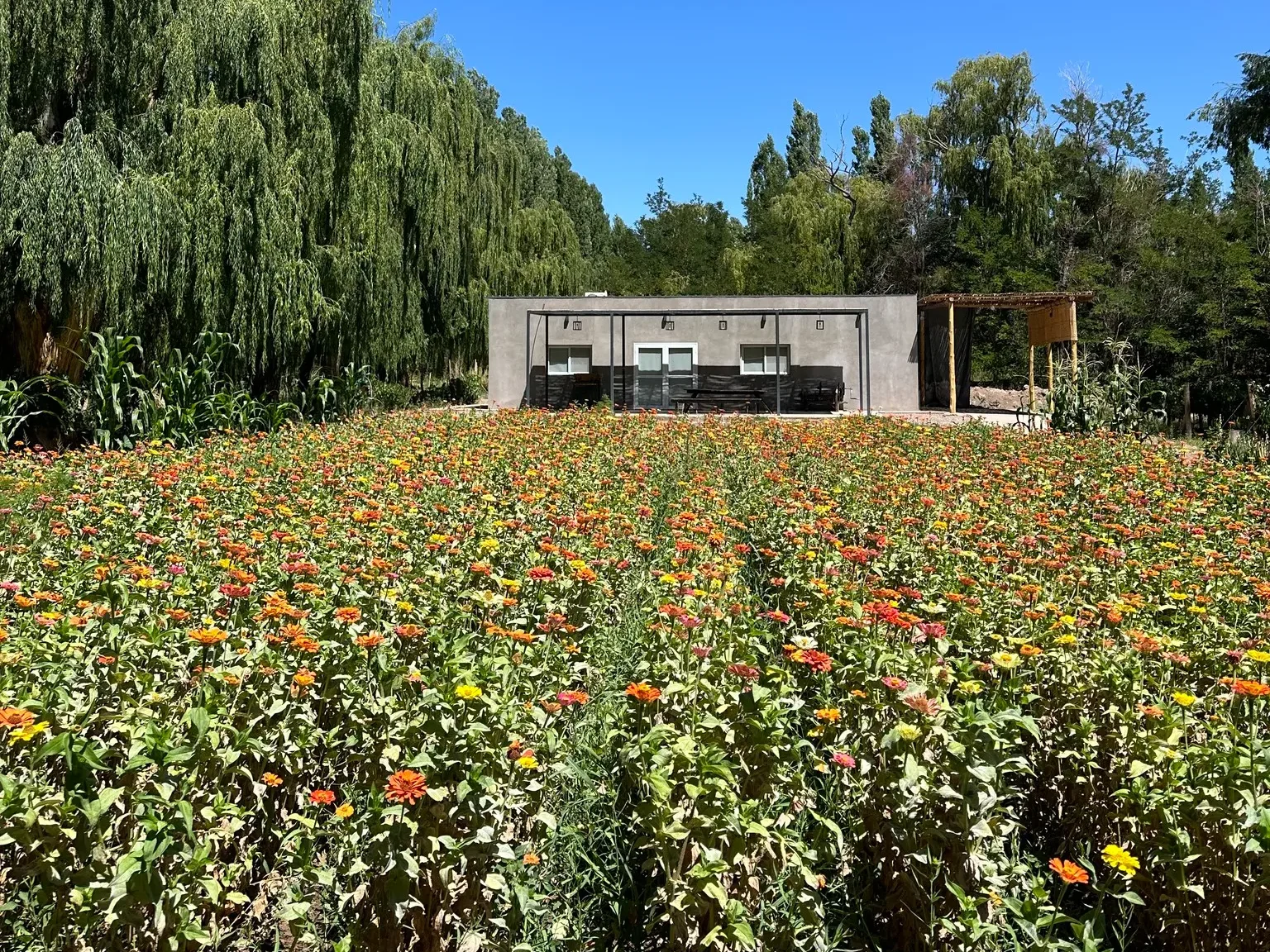 Bodega La Fortuna Barreal Glencore Pachón programa Calidad en Comunidad.