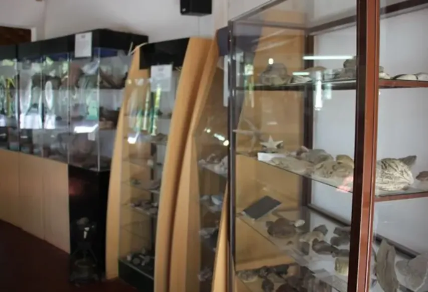 Vitrinas con muestras de minerales y cristales en el Museo Manzini.