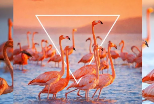 Misión III Entre Mundos