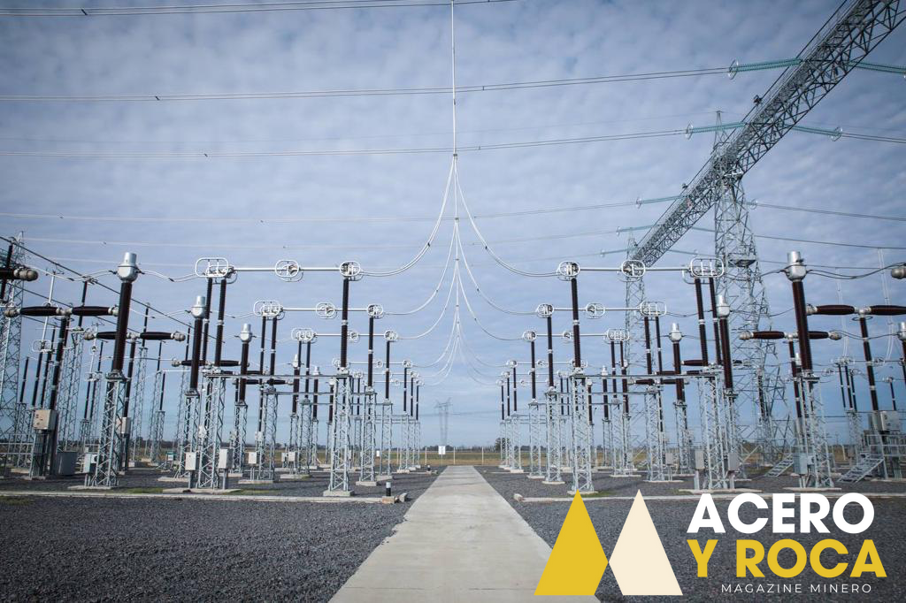 Denuncia contra la minera Vicuña