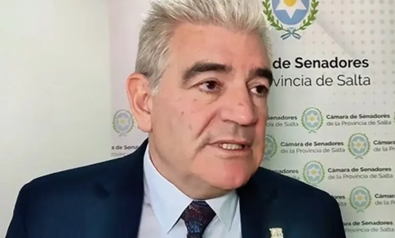 Dr. Julio Matteo Bruna Novillo. Presidente Servicio Geológico Minero Argentino