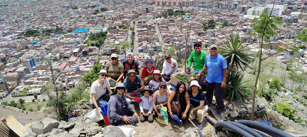 Proyexto Forestal de Lacera en Cerro La Milla