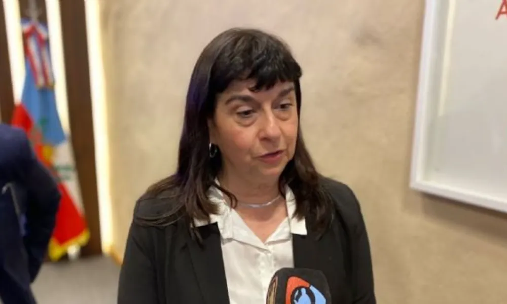 retrato de Ministra de minería de Catamarca, Teresita Regalado