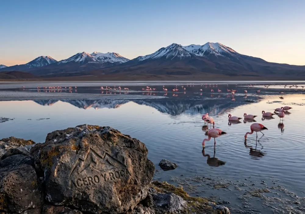 El Salar de Maricunga alberga acuíferos y lagunas clave para flamencos andinos y biodiversidad altoandina. Contenido Original de ACERO Y ROCA - Prohibida su reproducción