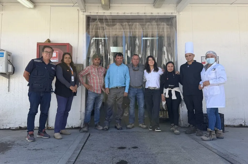 Agricultores de Atacama.