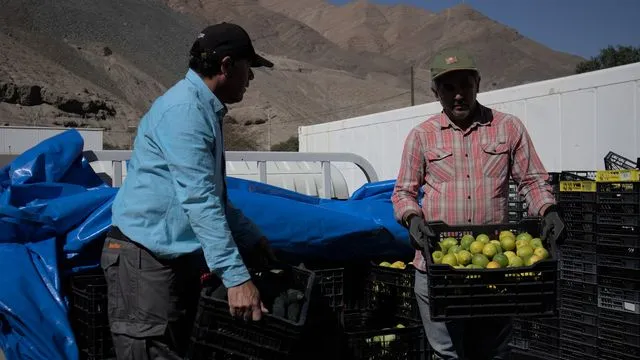 frutas y verduras producidas localmente serán incorporadas a los servicios de alimentación de la faena Candelaria.