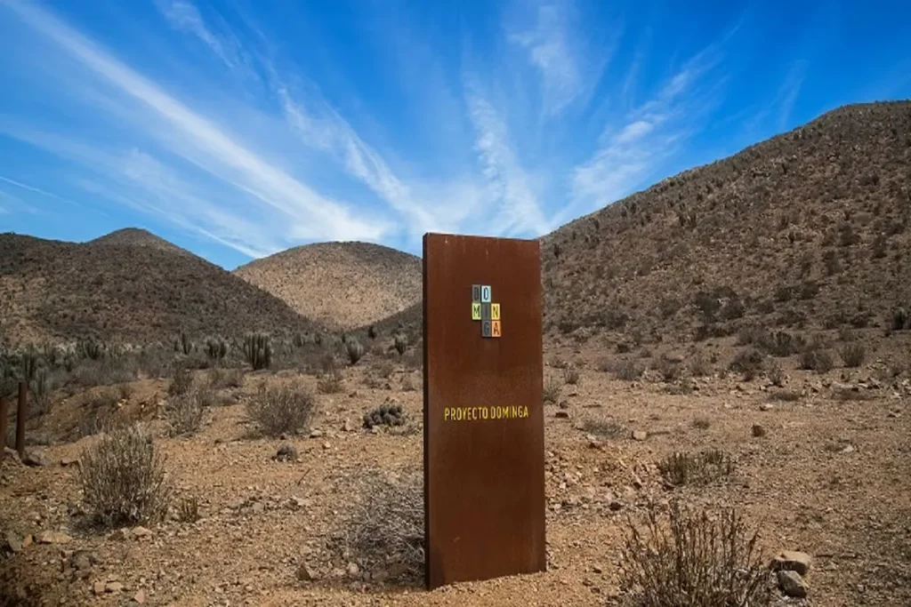 proyecto minero Dominga Chile Andes Iron.